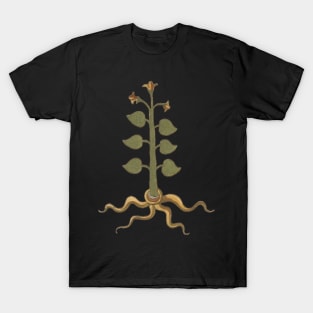 Spiritual Plant Herbal Medieval Plant Lover Romantic Art T-Shirt